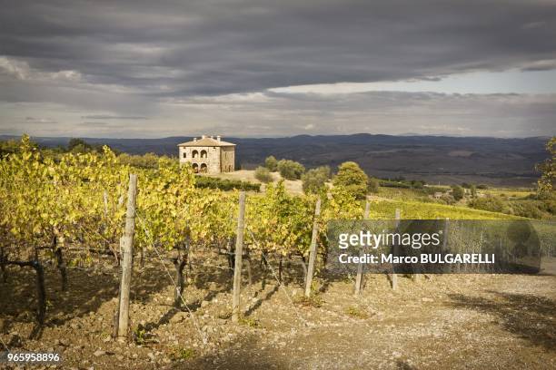 View of the Brunello Biondi Santi vineyards and farmhouse on October 21, 2011 in Montalcino, Italy. The grapes, which belong to the vineyards that...