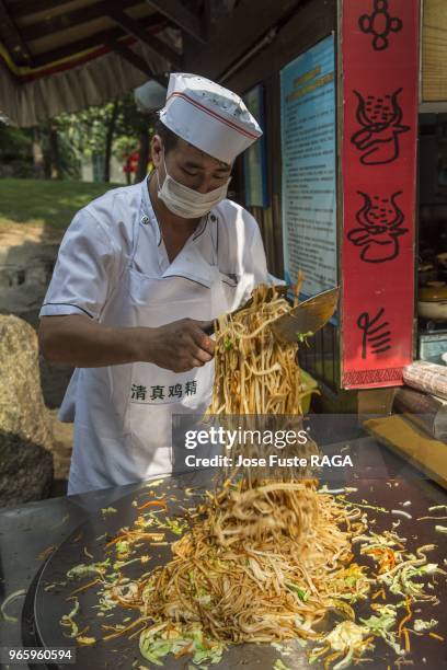 Cuisinier preparant des nouilles sautees dans un restaurant, Shenzhen, Chine.