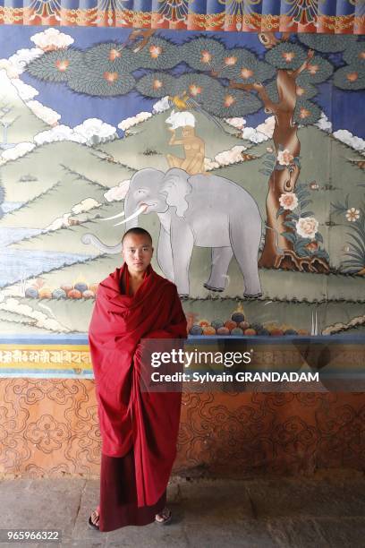 Bhutan , City of Punakha, the dzong built in 1637 by the Shabdrung Namgyel at the confluence of rivers Pho and Mo, mural frescoe representing the...