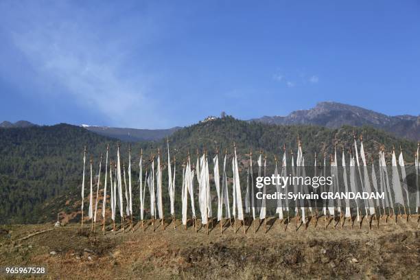 Bhutan , District of Paro, the City, prayer flags for the dead// Bhoutan , district de Paro, la ville, drapeaux de priere blancs pour honorer les...