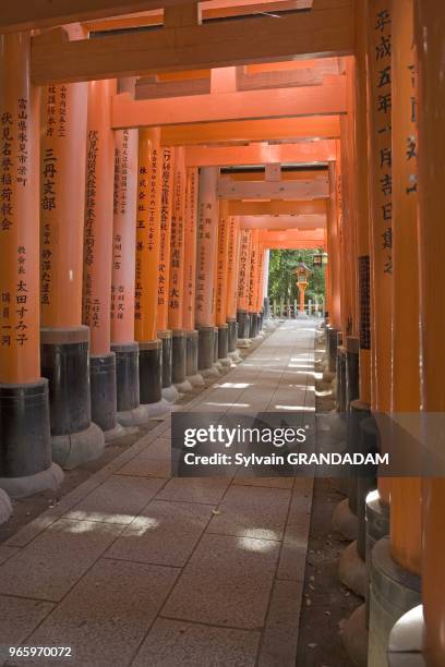 Le sanctuaire dedie à Inari célèbre pour ses tunnels de "torii" Le sanctuaire dedie à Inari célèbre pour ses tunnels de "torii" .