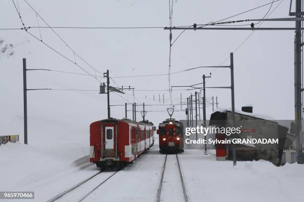 Suisse, canton des Grisons, le glacier express, train de montagne a cremaillere qui va de Saint Moritz a Zermatt.