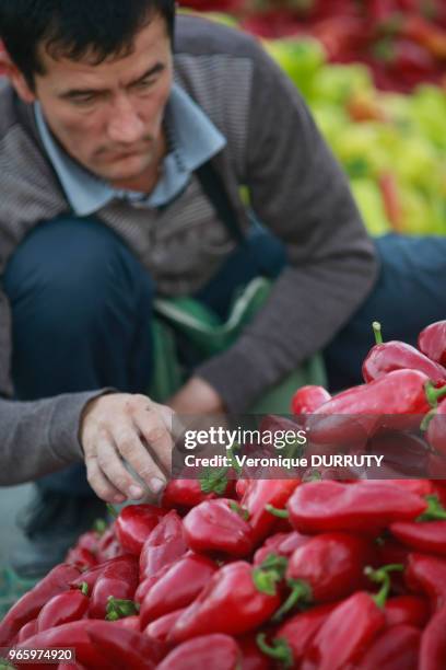 Poivrons rouges au Bazar Chorsu à Tachkent, Ouzbekistan // Chorsu bazar In Tachkent, Uzbekistan.