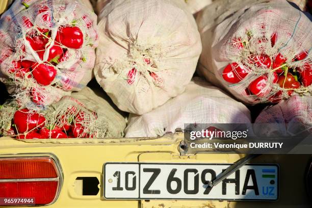 Coffre de voiture d'un paysan rempli de poivrons rouges, Bazar Chorsu à Tachkent, Ouzbekistan.