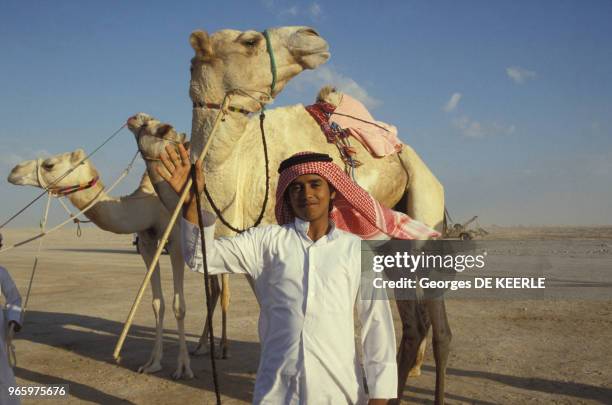 Chemelier avec ses dromadaires au Qatar, le 15 novembre 1986.