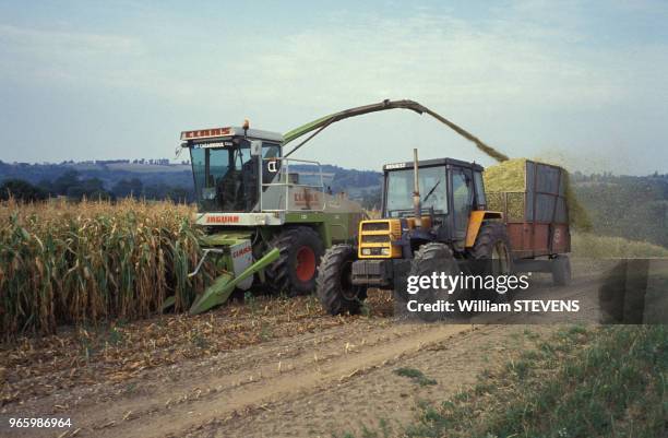 Moisson d'un champ de maïs près de Rodez, le 21 septembre 1991, dans l'Aveyron, France.