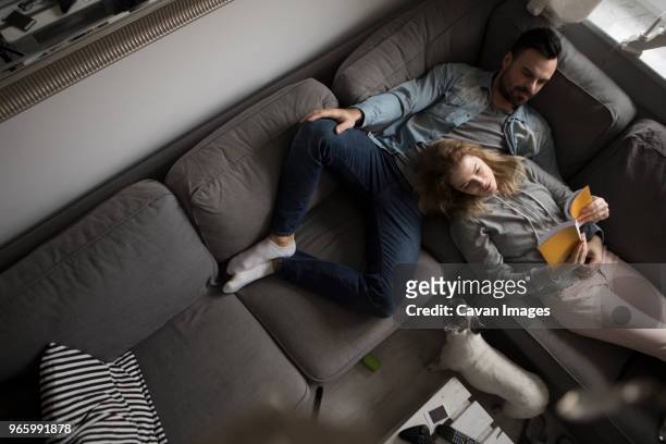 high angle view of couple reading book while relaxing on sofa by french bulldog at home - soltanto un animale foto e immagini stock