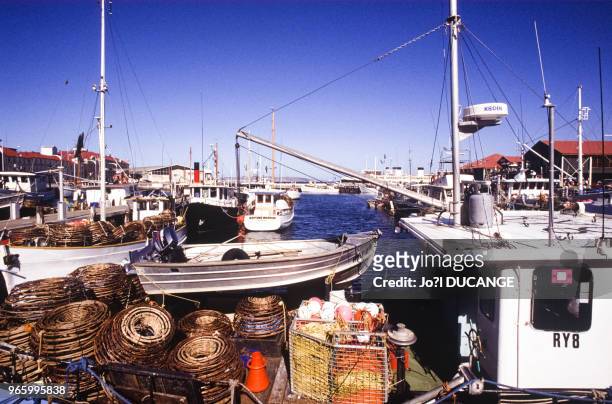 Bateaux de pêche dans le port d'Hobart, le 22 mars 1994, en Tasmanie, Australie.