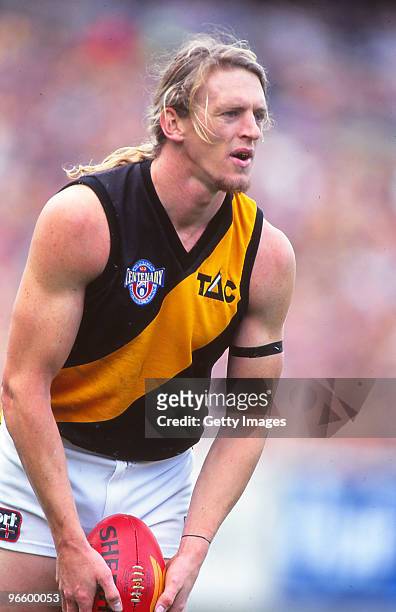 Michael Gale of the Richmond Tigers prepares to kick the ball during the round eight AFL match between North Melbourne and Richmond in Melbourne,...