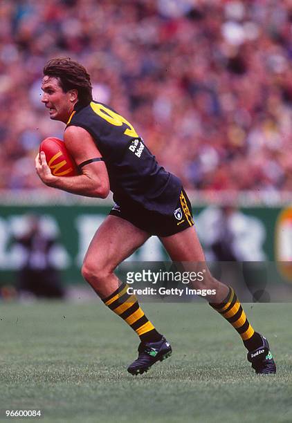 Wayne Campbell of the Tigers runs the ball during the round one AFL match between the Richmond Tigers and the Essendon Bombers at the Melbourne...