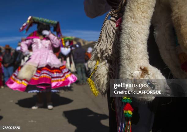 Quyllur Rit'i festival on May 27, 2013 in Sinaka Valley, Peru. Quyllur Rit'i or Star Snow Festival is a spiritual and religious festival held...