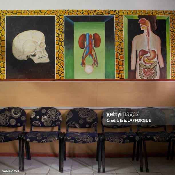 Indoors Of Waiting Room With Organs Depicted On Wall, Hargeisa Somaliland.