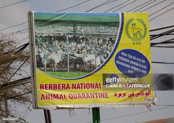 Berbera National Animal Quarantine Advertisement Billboard In Somaliland.