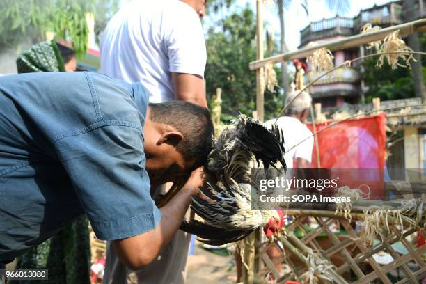 African Chicken Ritual Indigenous Chicken Photos and Premium High Res Pictures - Getty Images