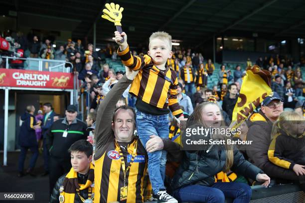 Hawks fans in the crowd celebrate during the round 11 AFL match between the Hawthorn Hawks and the Port Adelaide Power at University of Tasmania...