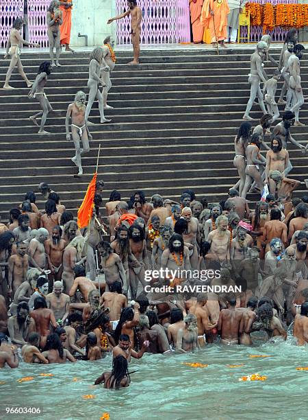 Indian Naga Sadhus - Holy Men - bathe at Har-ki-Pauri in the River Ganges in Haridwar on February 12 during the First Shahi Snan - Royal Bath - on...