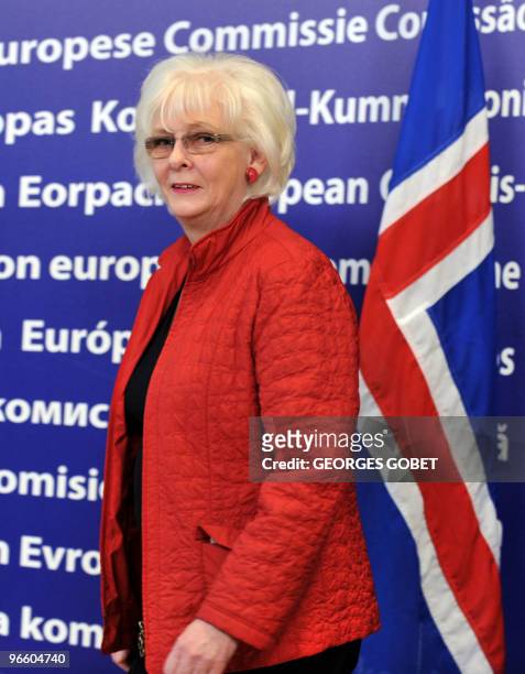 Prime Minister of Iceland Johanna Sigurdardottir arrives for a meeting with European Commission President Jose Manuel Barroso at the EU headquarters...