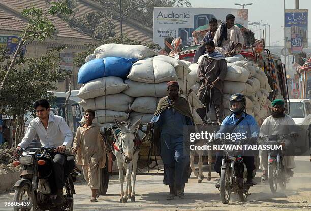 To go with focus story Pakistan-unrest-Karachi-economy by Hasan Mansoor This picture taken on February 4, 2010 shows Pakistani a donkey rider loaded...