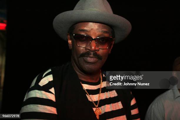 Fab 5 Freddy attends the YO! MTV Raps 30th Anniversary Live Event at Barclays Center on June 1, 2018 in New York City.