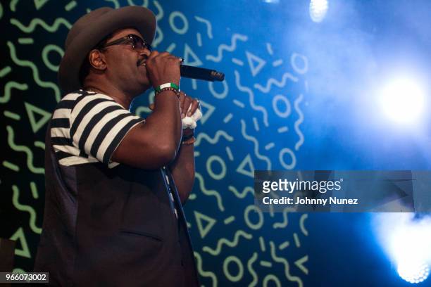 Fab 5 Freddy appears onstage at the YO! MTV Raps 30th Anniversary Live Event at Barclays Center on June 1, 2018 in New York City.