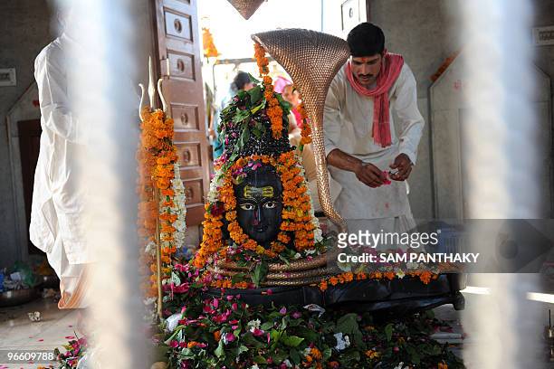 Hindu priest scatters rose petals on the Shivling at the Shree Pshupatinath Mandir at Singarwa village, some 20 kms. From Ahmedabad, on the occasion...