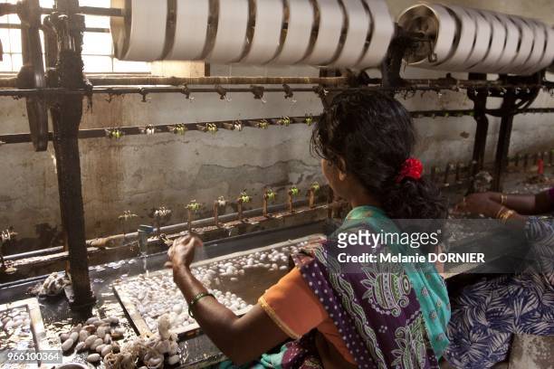 Ramenagar en juin 2013, vue d'ateliers de filature ou le cocon est transforme en un filament de soie. Le cocon est trempee dans de l'eau bouillante...