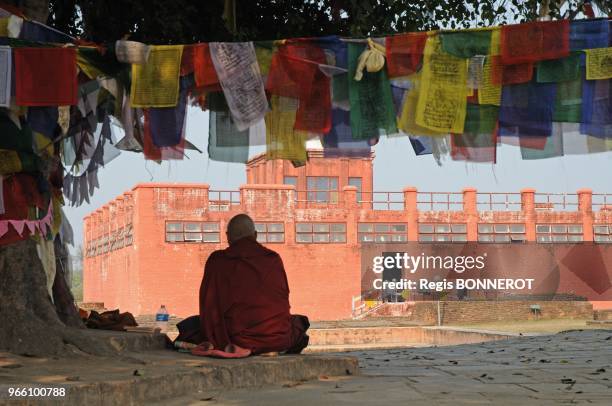 Palais ou est ne Bouddha, le 28 janvier 2009, Lumbini, Nepal.