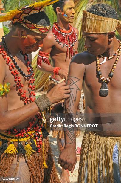 Members of the Pataxo tribe attend a the indigenous Pataxo games on April 17, 2012 at Coroa Vermelha beach, Brasil. Indigenous groups oppose Brazil?s...