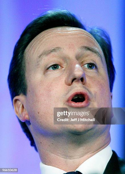 Conservative Party leader David Cameron addresses delegates at the Scottish Conservative Party spring conference on February 12, 2010 in Perth,...