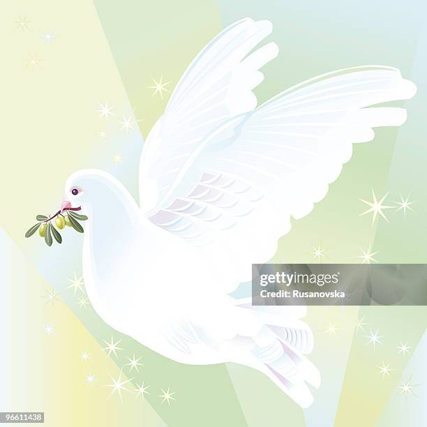ilustraciones, imágenes clip art, dibujos animados e iconos de stock de la paz dove - paloma blanca
