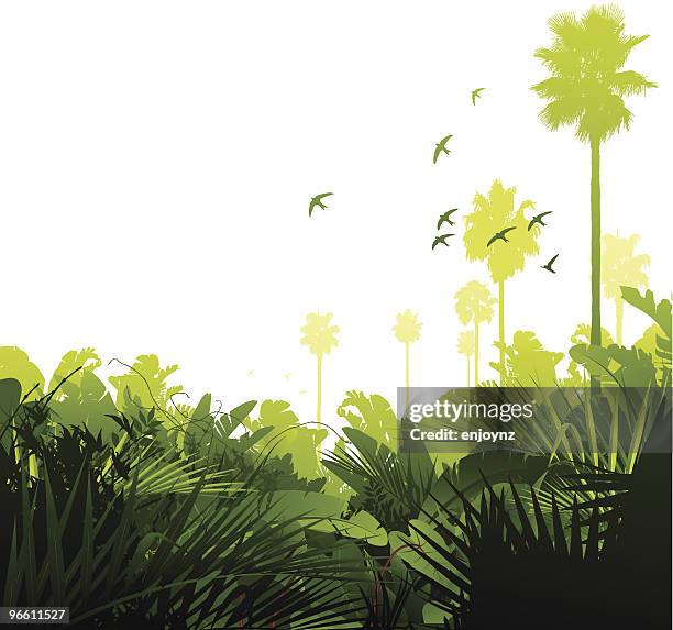 ilustrações, clipart, desenhos animados e ícones de verde floresta tropical - grupo de animais