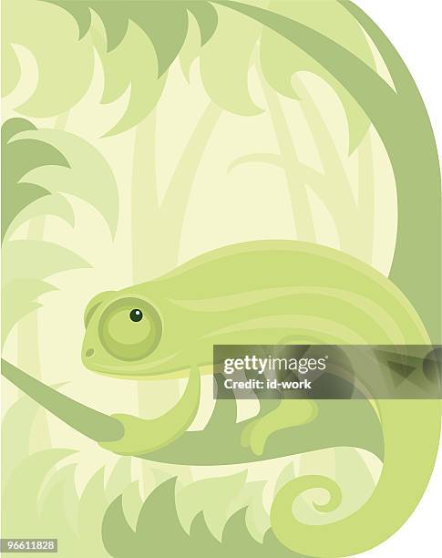 chameleon - chameleon stock illustrations