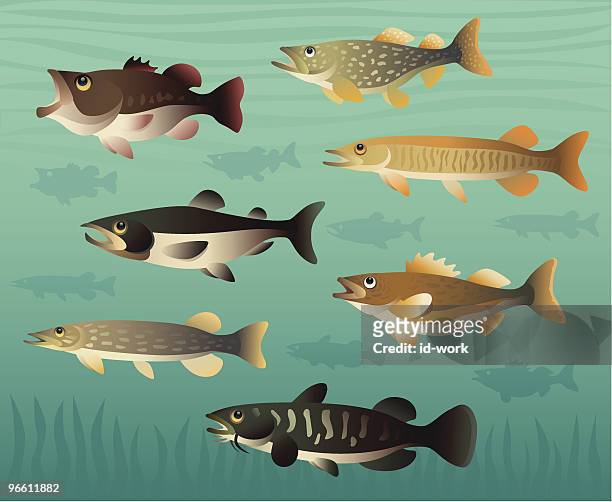 game fishes - pike stock illustrations