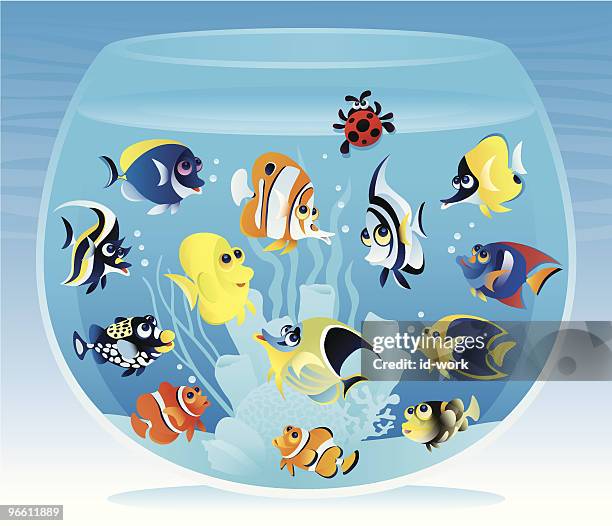 fishbowl with fish - anemonefish 幅插畫檔、美工圖案、卡通及圖標