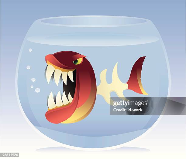 angry fish with bone body - bone fish stock illustrations