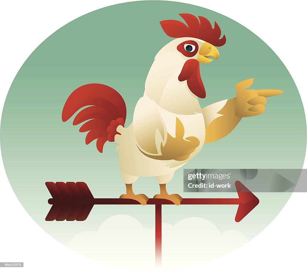 Funny rooster