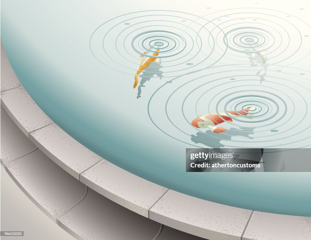 Fish Pool Vector Fish In Fountain Pool High-Res Vector Graphic - Getty Images