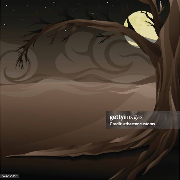 210 Tree Root Night Stock Photos, High-Res Pictures, and Images - Getty ...