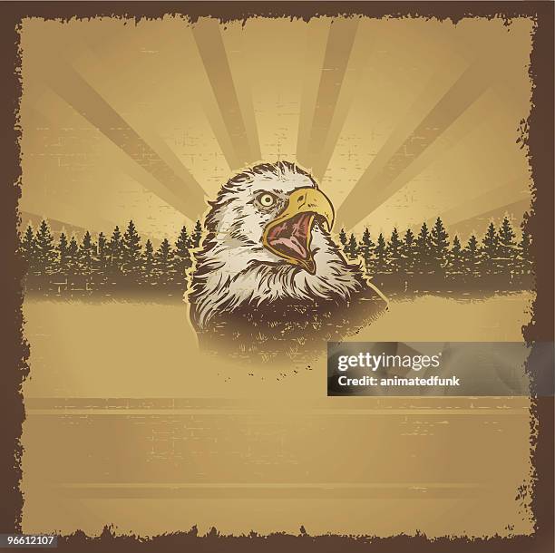 eagle grunge - bald eagle head stock illustrations