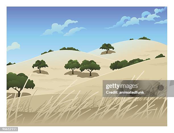 northern california landscape - oak tree vector stock illustrations