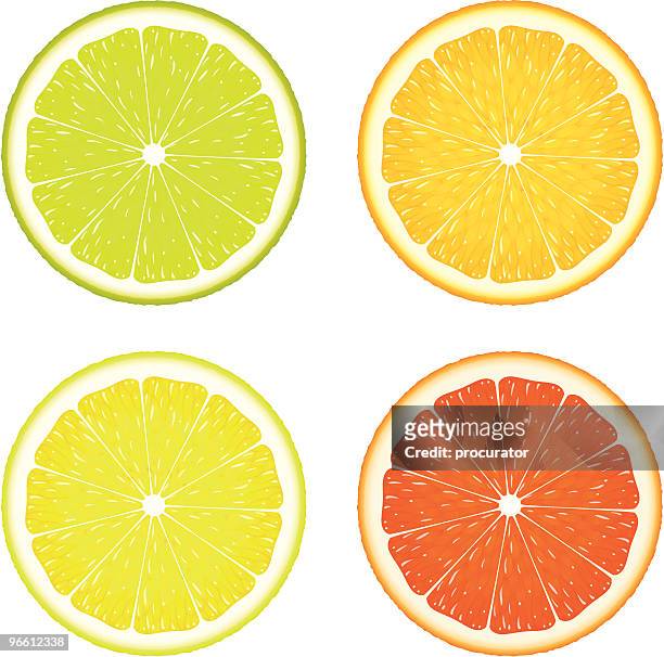 citrus vier - lime stock-grafiken, -clipart, -cartoons und -symbole