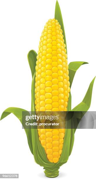 maize - mais stock-grafiken, -clipart, -cartoons und -symbole