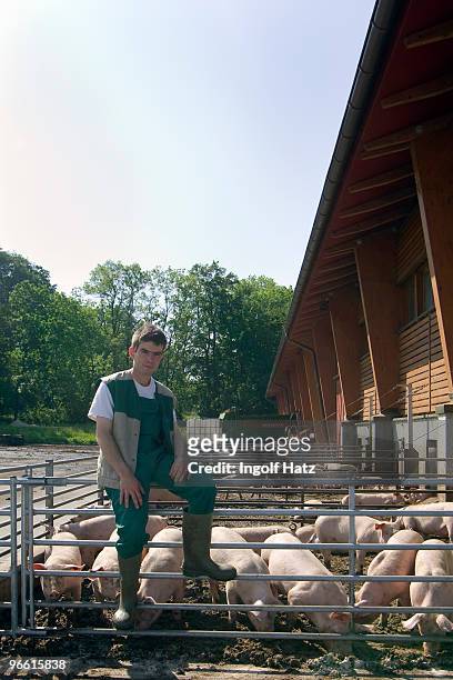 farmer in front of his pigs - bauer bayern stock-fotos und bilder