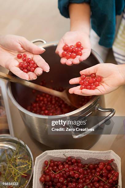 girls with grandmother cooking jam - jam making generations photos et images de collection