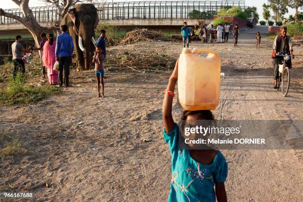 Une jeune fille porte un bidon d'eau, à l'arrière un éléphant male est attaché à côte du pont d'une voie rapide, le 24 septembre 2014, Delhi, Inde.