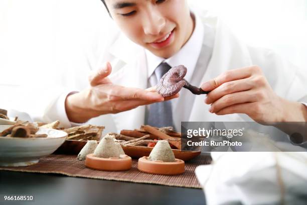 oriental medical doctor examining lingzhi mushroom - angelica hale stock pictures, royalty-free photos & images