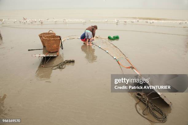 Classé en 2013 par l'UNESCO patrimoine culturel, la tradition de la pêche de la crevette à cheval date de plus de 500 ans, le 28 Juillet 2015,...