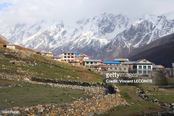 Vue d?ensemble du village de Kyanjin Gompa , à 4 000 m, dans le parc national du Langtang avec ses maisons d?architecture tibétaine et Tamang au...