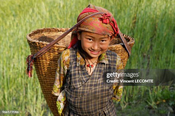 Enfant népalaise de la communauté Tamang travaillant aux champs dans le village de Thuman, au Népal, le 23 avril 2012 .