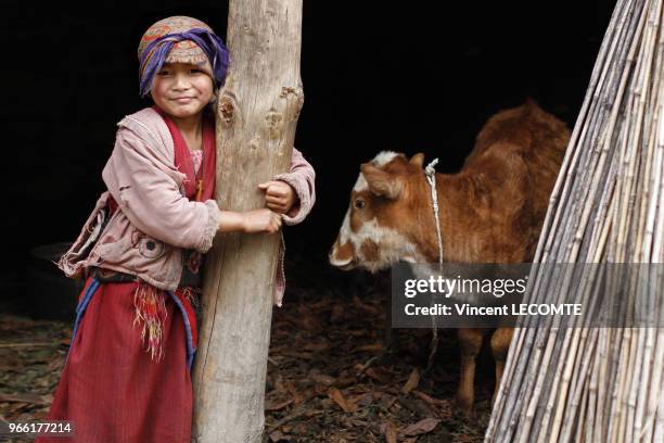 Fillette népalaise Tamang photographiée au rez-de-chaussée de sa maison dans le village de Gatlang, au Népal, le 20 avril 2012 .